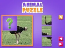 Animal Puzzle